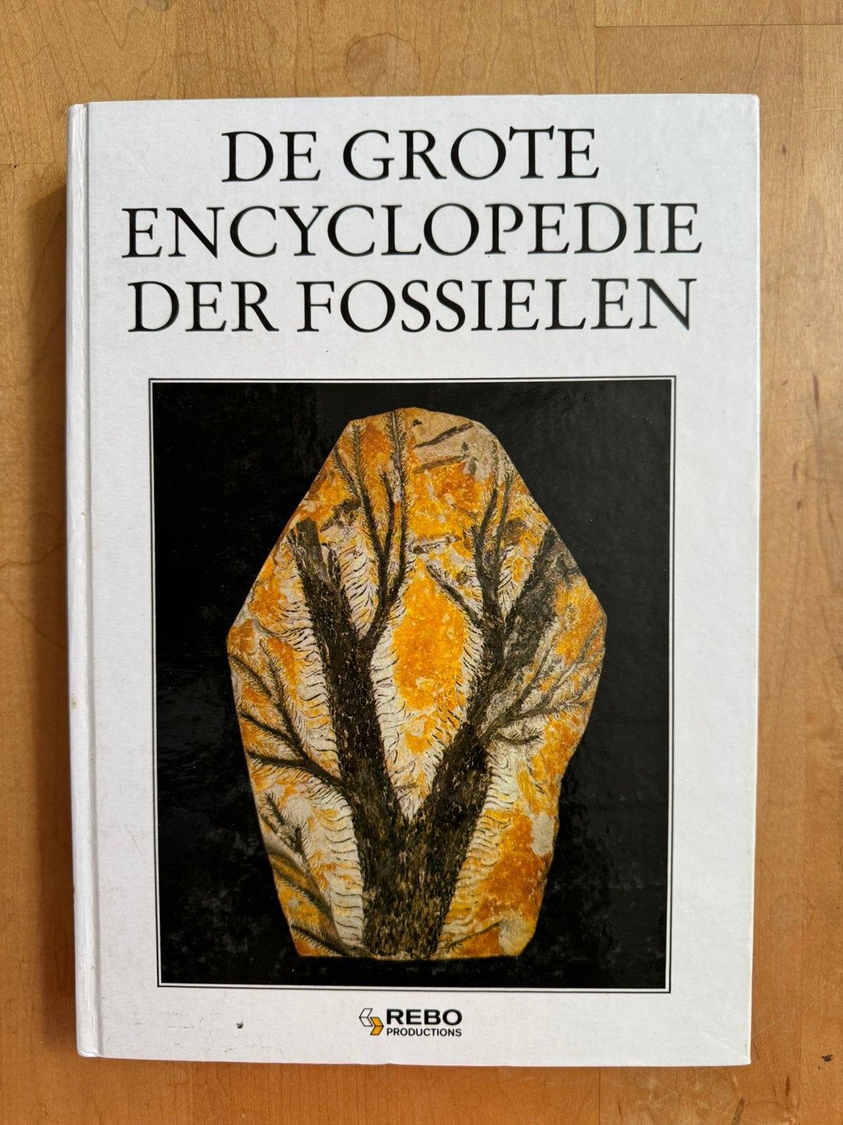 'De grote encyclopedie der fossielen'- nieuwstaat, Verzamelen, Ophalen of Verzenden, Overige typen