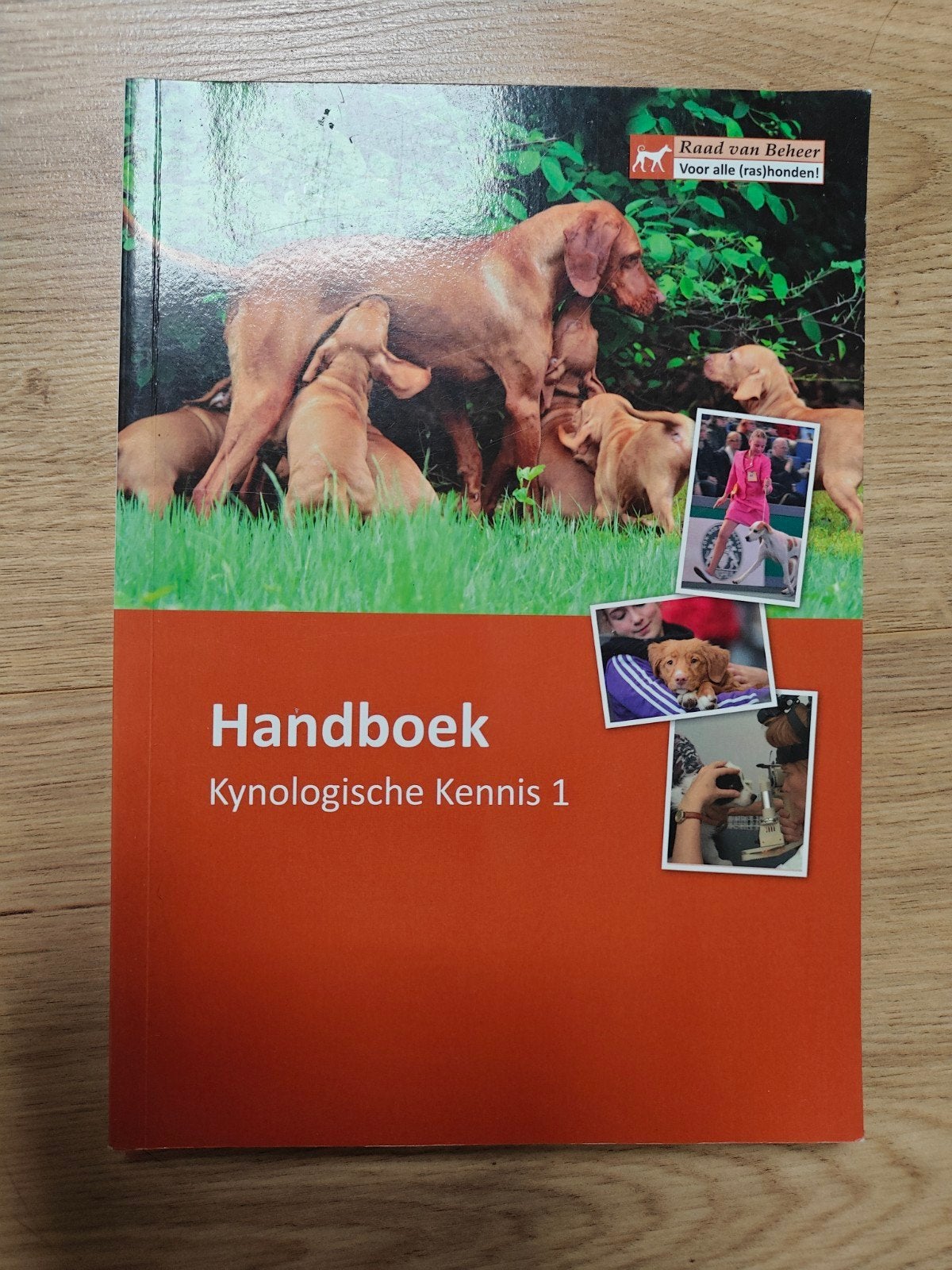 Kynologische Kennis 1, Boeken, Ophalen of Verzenden, Zo goed als nieuw, Honden
