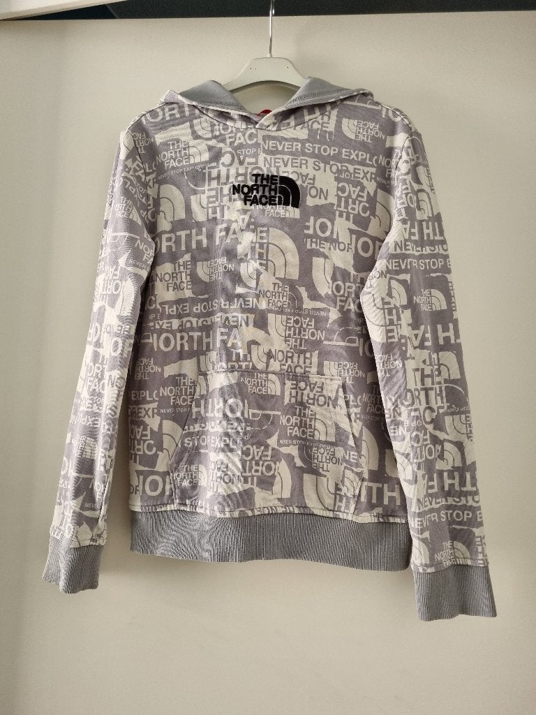 Hoodie jongens of meisjes -- mt 158 / 164 -- The North Face, Jongen of Meisje, Trui of Vest, Ophalen of Verzenden, Gebruikt