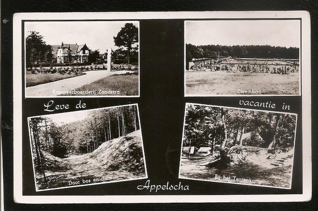 Appelscha, Leve de vacantie in, Ophalen of Verzenden, 1940 tot 1960, Gelopen, Friesland