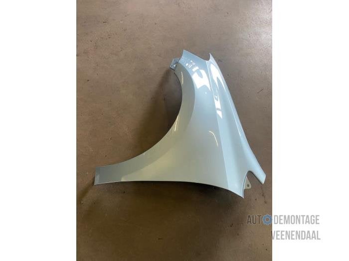Scherm links-voor van een Volkswagen Polo (LD5M), -, Volkswagen, -, Nieuw