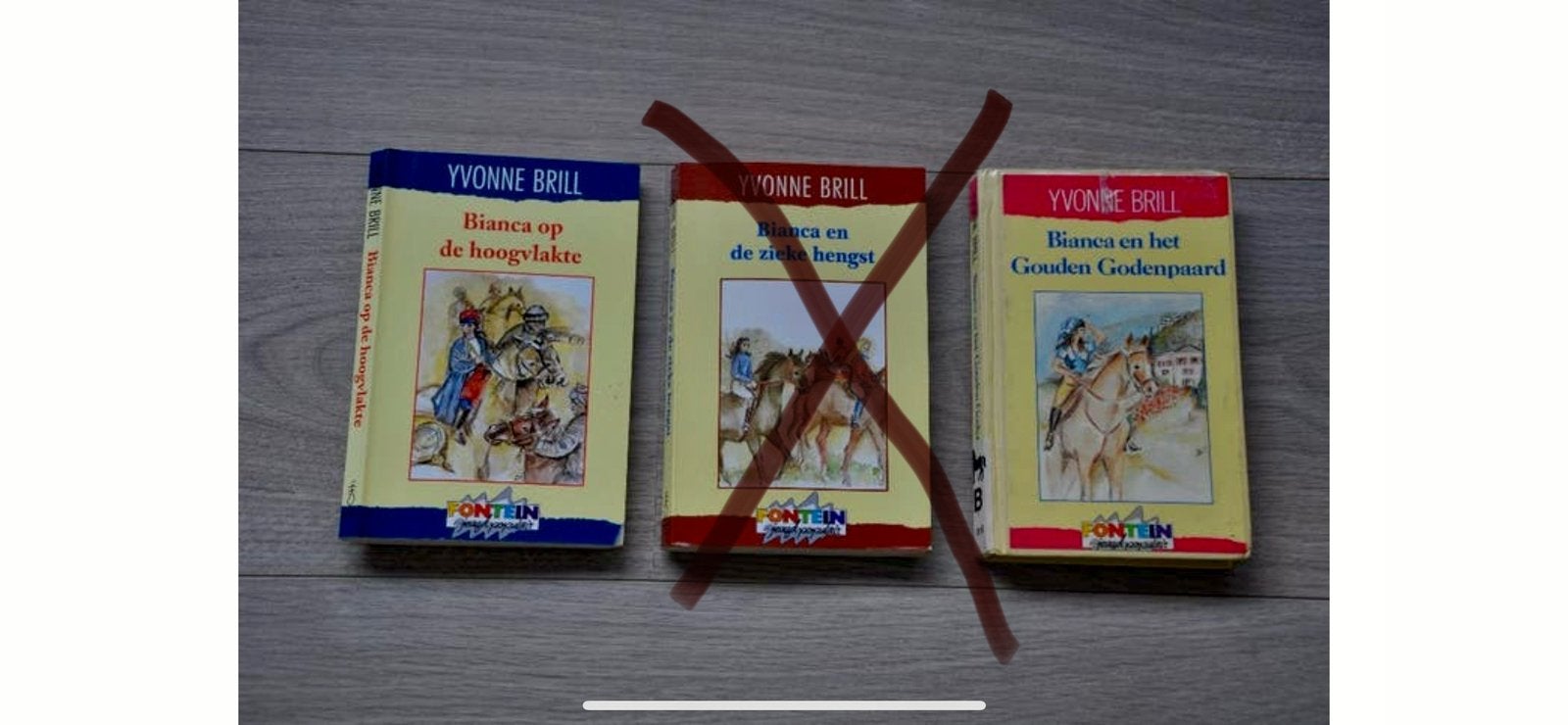 biance en de zieke hengst, Yvonne brill, boek, Ophalen of Verzenden, Gelezen, Yvonne Brill, Fictie