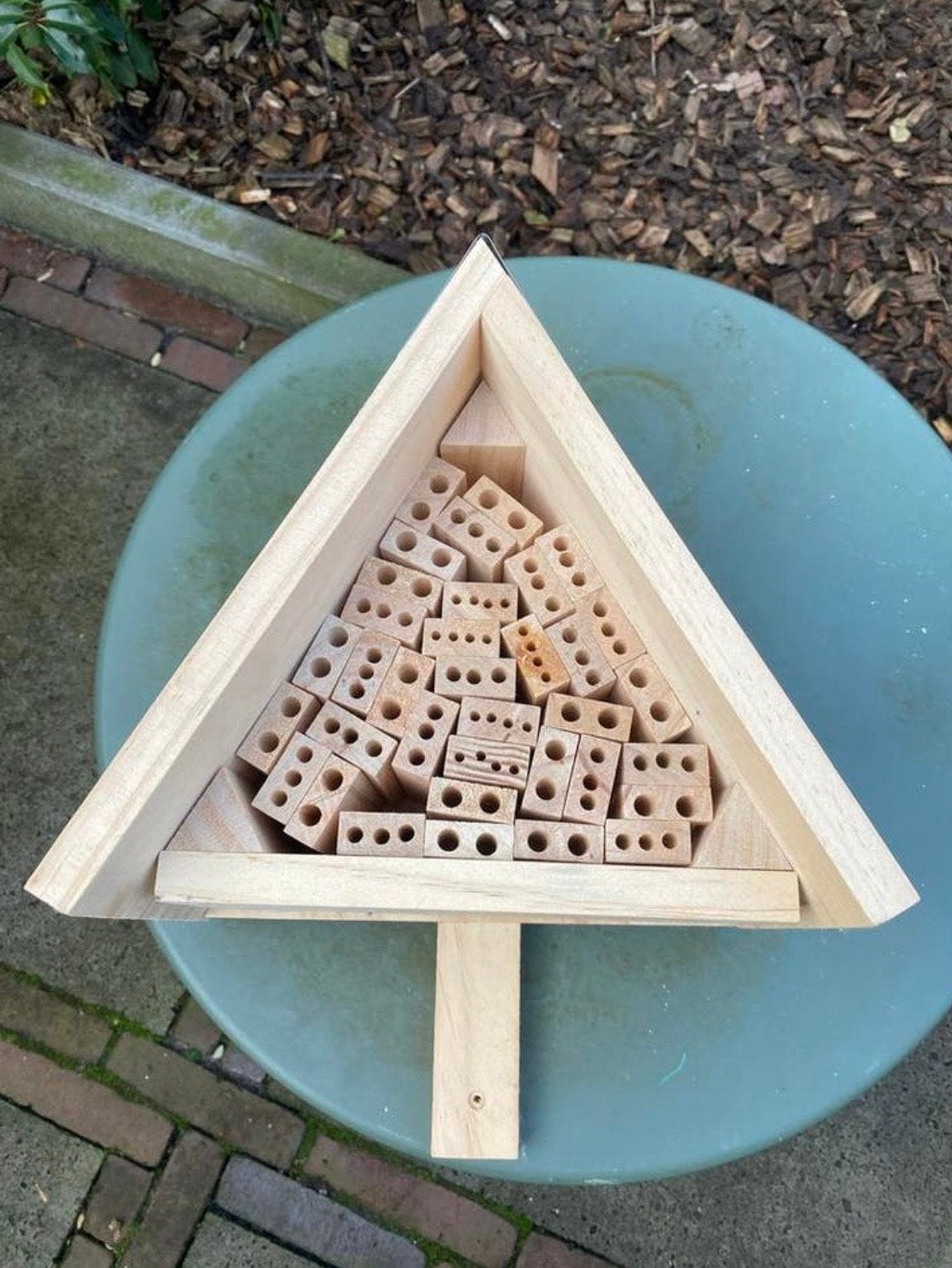 Nieuw Terra Kids insectenhuis voor kinderen, Ophalen of Verzenden, Nieuw