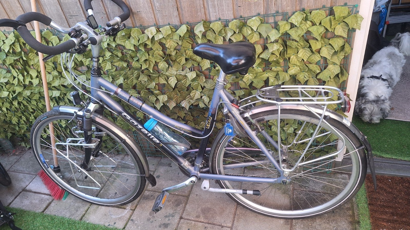 Gazelle damesfiets met versnellingen en bagagedrager, Ophalen, Velgrem, Versnellingen, Gazelle