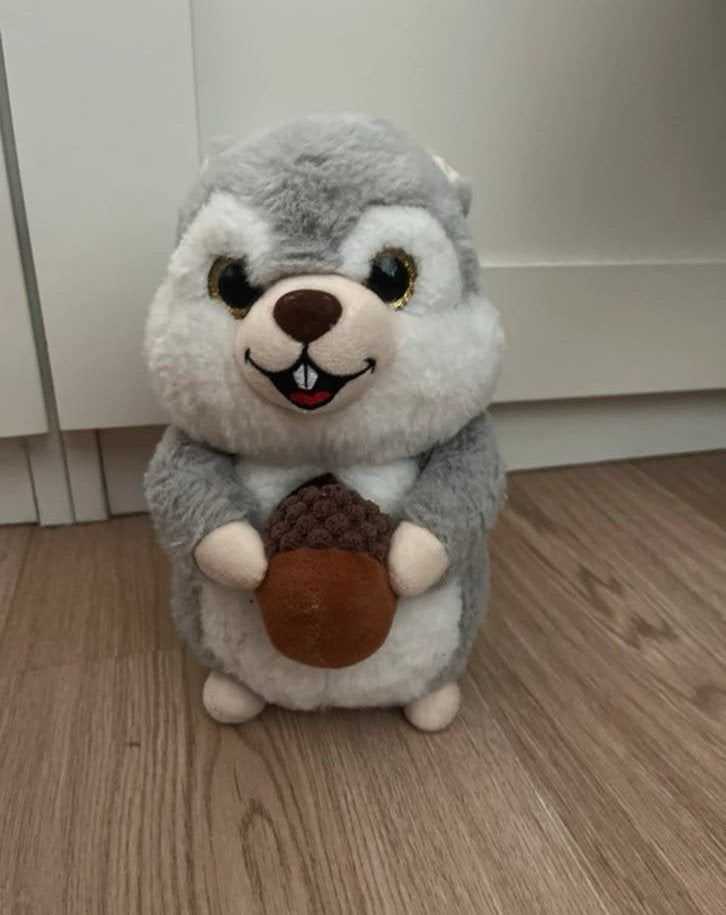 Leuke pluche eekhoorn knuffel  22 cm. Nieuw, Ophalen of Verzenden, Zo goed als nieuw, Grijs, Overige typen