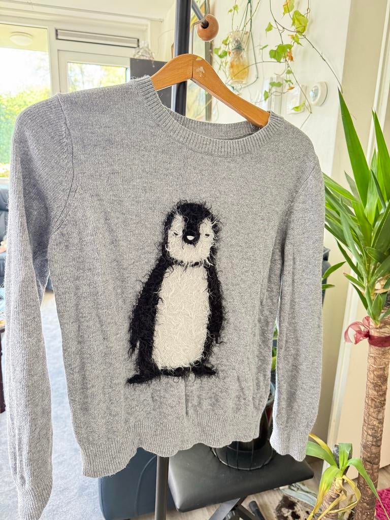 Grijze trui met pinguïn opdruk, Ophalen of Verzenden, Gedragen, Grijs