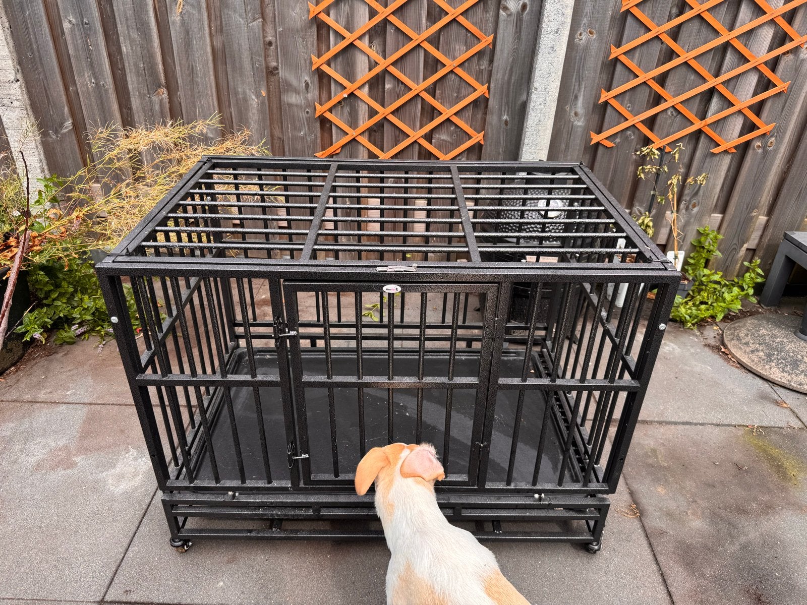 Luxe Hondenbench RVS Zwart, Dieren en Toebehoren, Hondenbenches, Ophalen, Zo goed als nieuw
