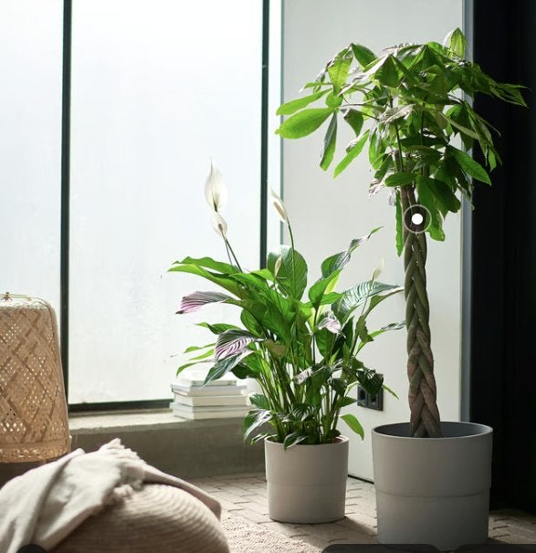 Plantenpotten IKEA / NYPON  -  set van 3, Tuin en Terras, Kunststof, Rond, Zo goed als nieuw, Minder dan 40 cm
