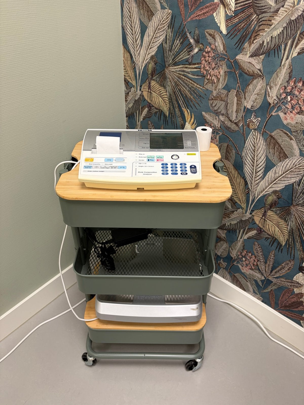 Tanita Body Composition Analyzer met printer en rollen, Gebruikt, 100 kg of meer, Ophalen of Verzenden, Digitaal