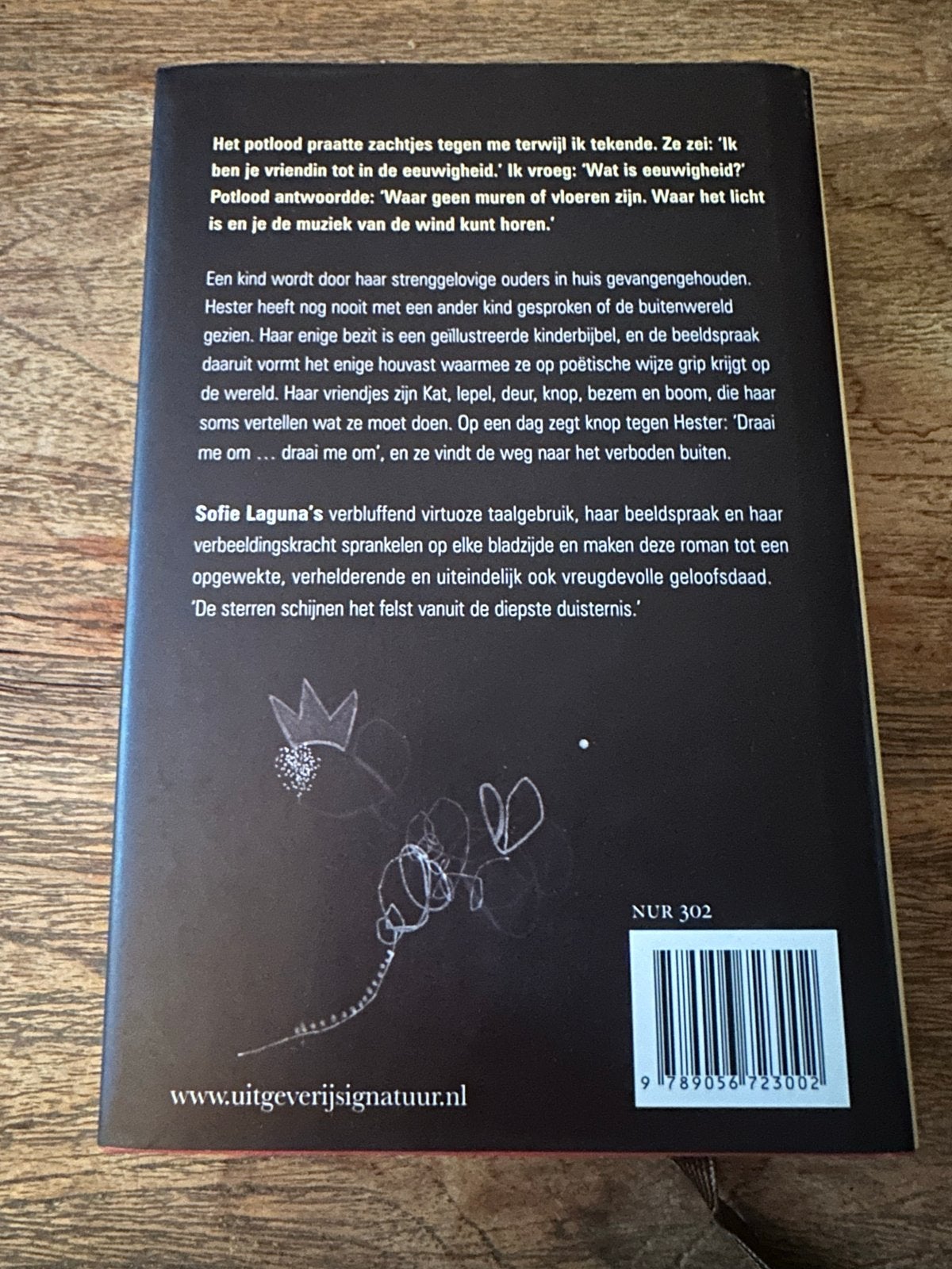 Eén voet verkeerd - Sofie Laguna (Boek), Ophalen of Verzenden, Zo goed als nieuw, Nederland