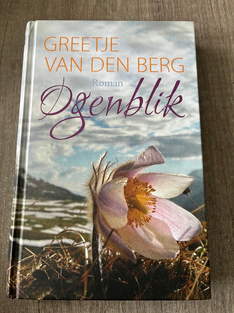 Greetje van den Berg - Ogenblik, Ophalen of Verzenden, Gelezen, Greetje van den Berg