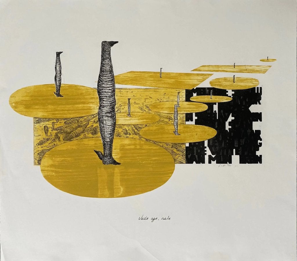 Grafiek titel: Vade age, nate, Origineel, Ets, Ophalen of Verzenden, 70 cm