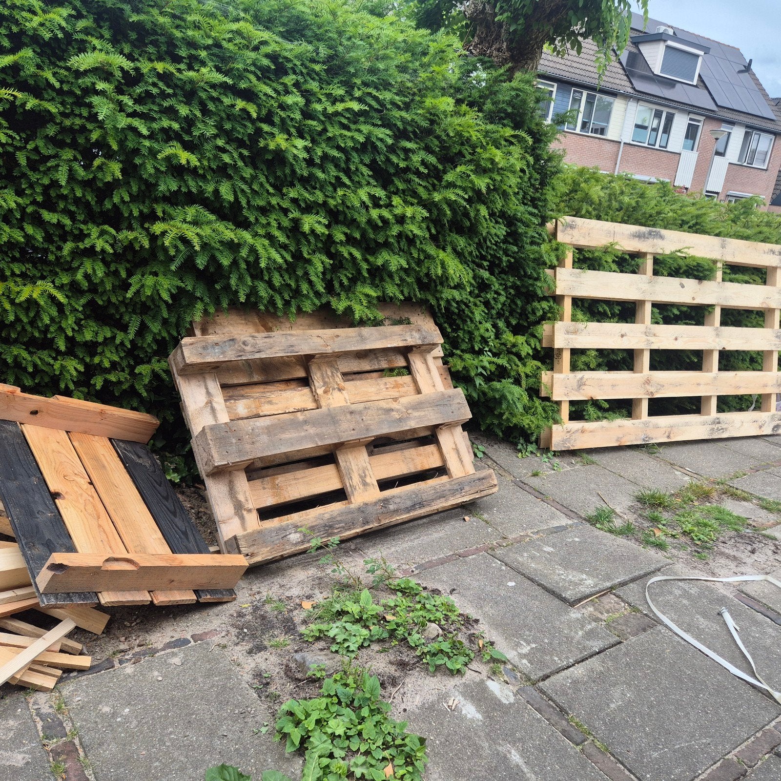 Meerdere pallets, Ophalen, Overige houtsoorten, Minder dan 200 cm, Pallet