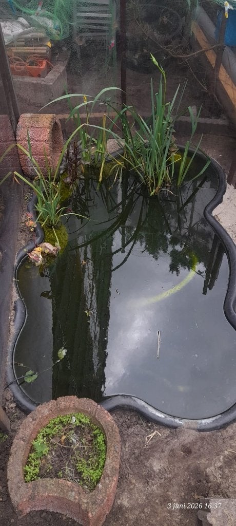 Vijverbak 500 liter, Tuin en Terras, Vijvers, Ophalen, Zo goed als nieuw