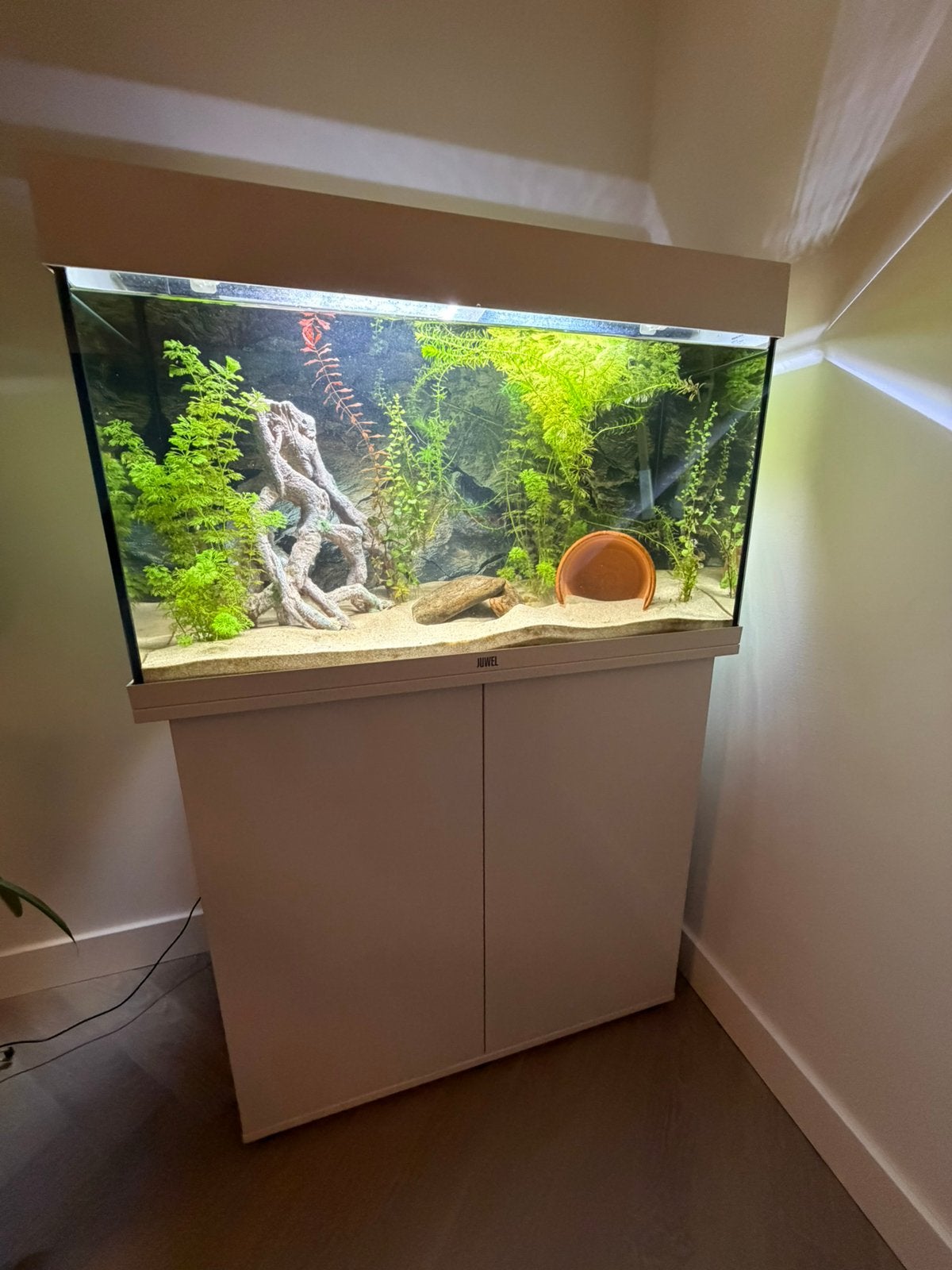 Complete aquariumset Juwel Rio 125 inclusief witte onderkast, Ophalen, Zo goed als nieuw, Leeg aquarium, Inclusief deksel