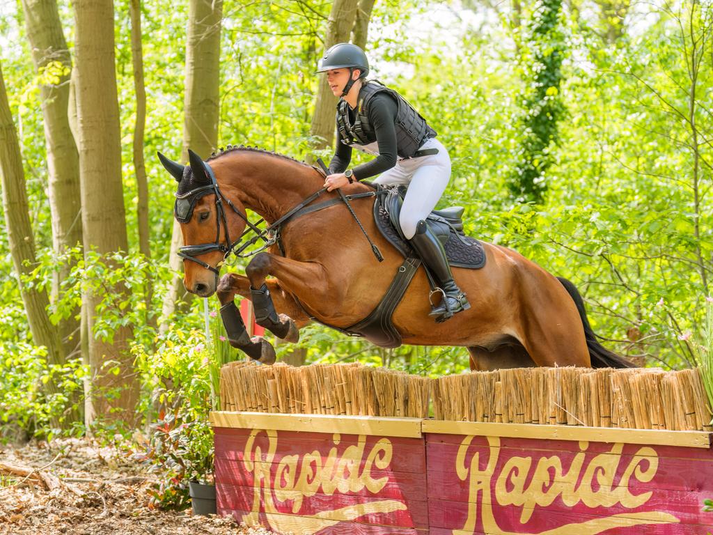 Mooie alround ruin, Dieren en Toebehoren, Paarden, Ruin, 165 tot 170 cm, Springpaard, 11 jaar of ouder