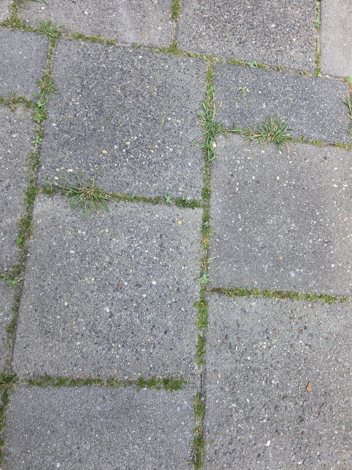 Gratis af te halen ca. 15m2  betonnen terrastegel 30x30, Ophalen, Gebruikt, 10 m² of meer, Beton