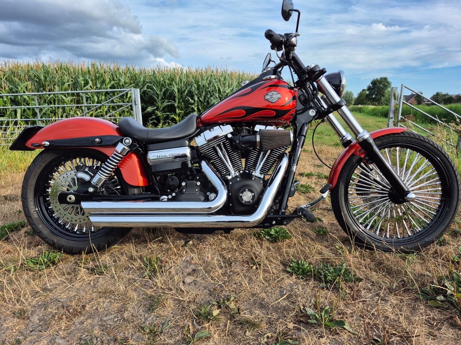 Harley-Davidson Dyna Wide Glide Custom, Motoren, Motoren | Harley-Davidson, 2 cilinders, Gebruikt, Particulier, Meer dan 35 kW