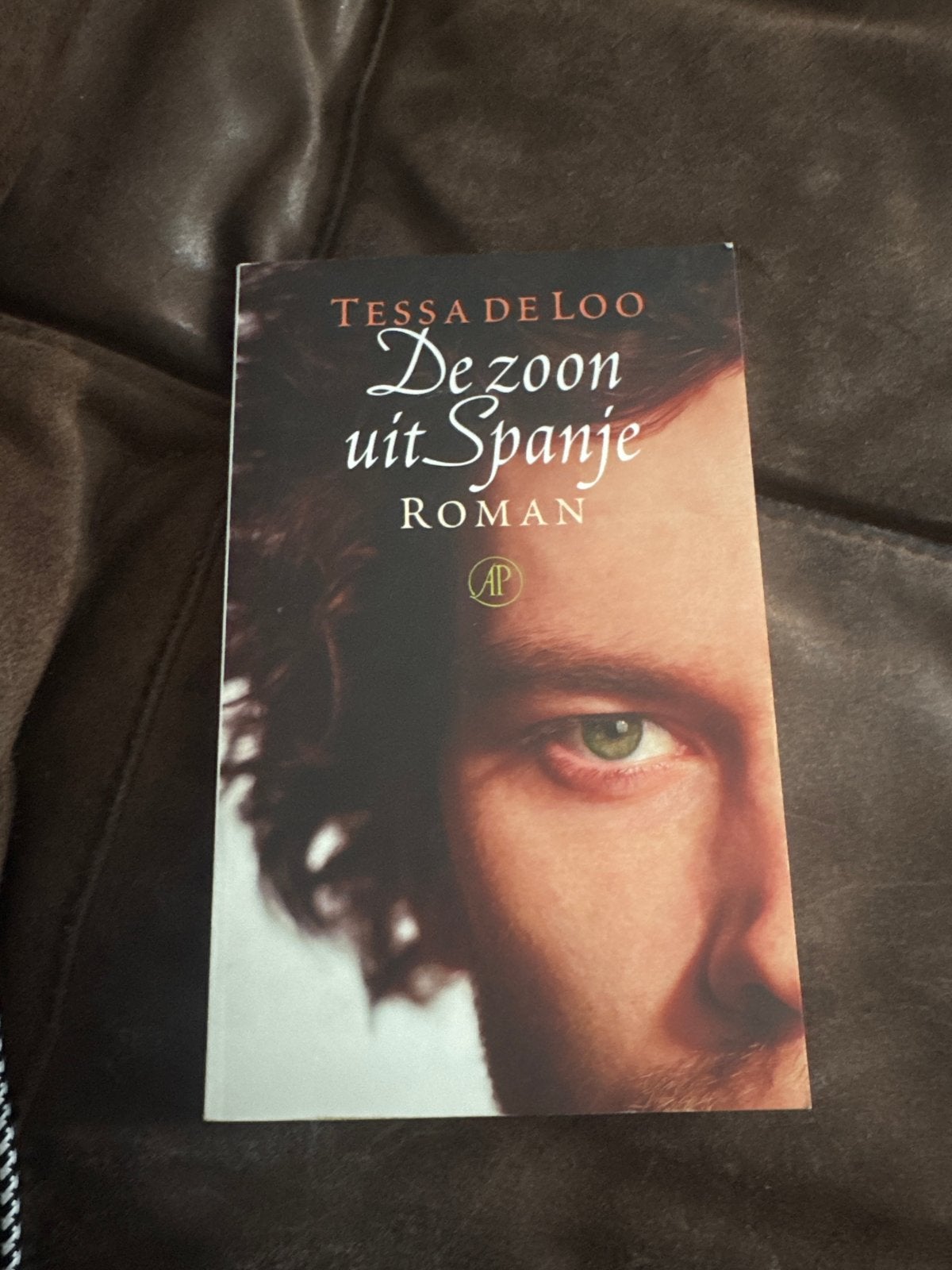 De zoon uit Spanje - Tessa de Loo (Roman), Ophalen of Verzenden, Gelezen, Nederland