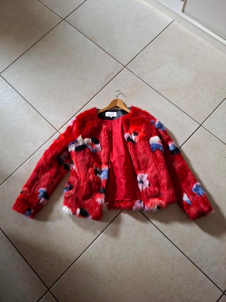 Kek jackie, rood met toffe kleuren., Kleding | Dames, Jassen | Winter, Ophalen of Verzenden, Zo goed als nieuw, Maat 38/40 (M)