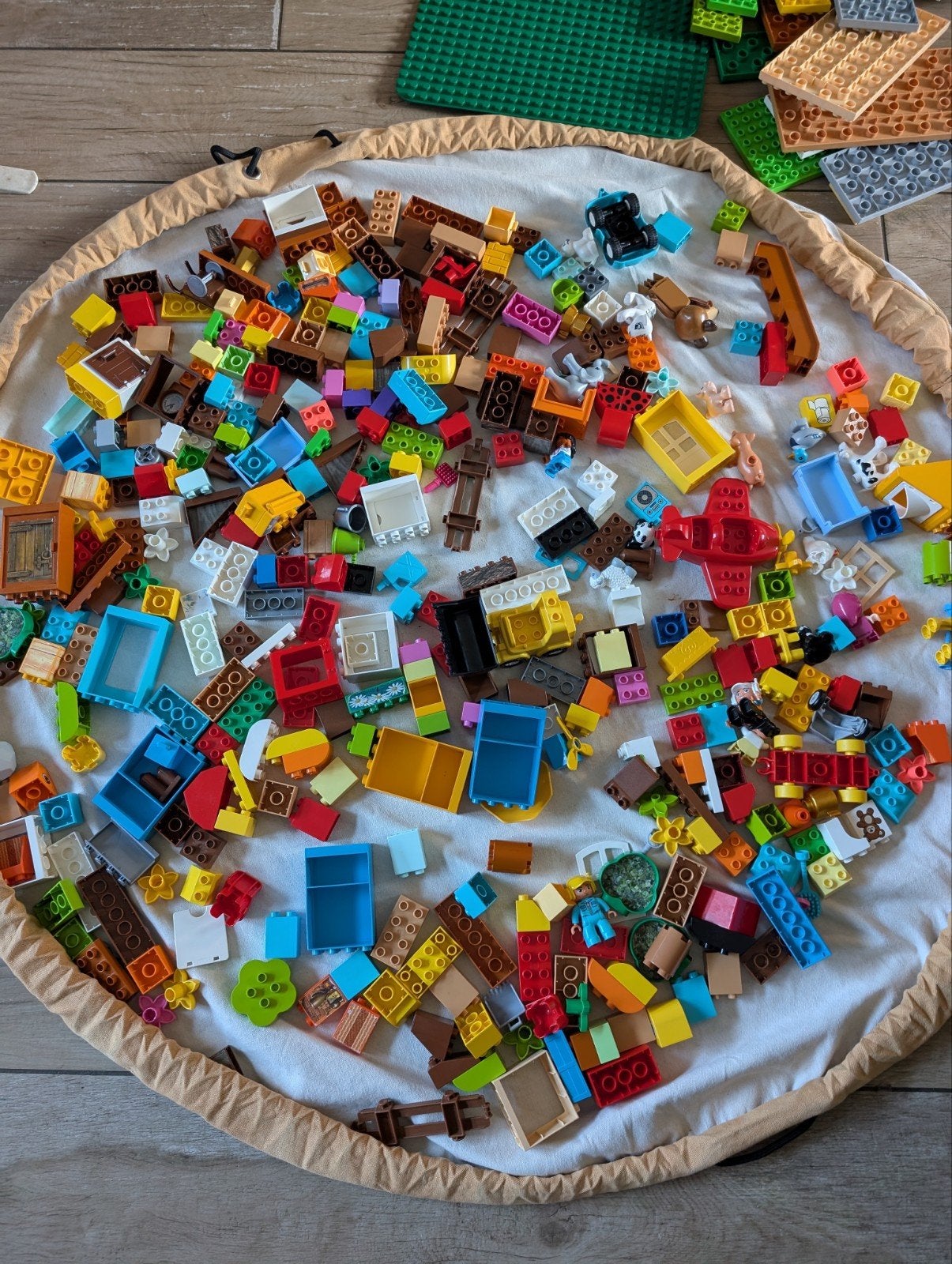 Grote partij duplo