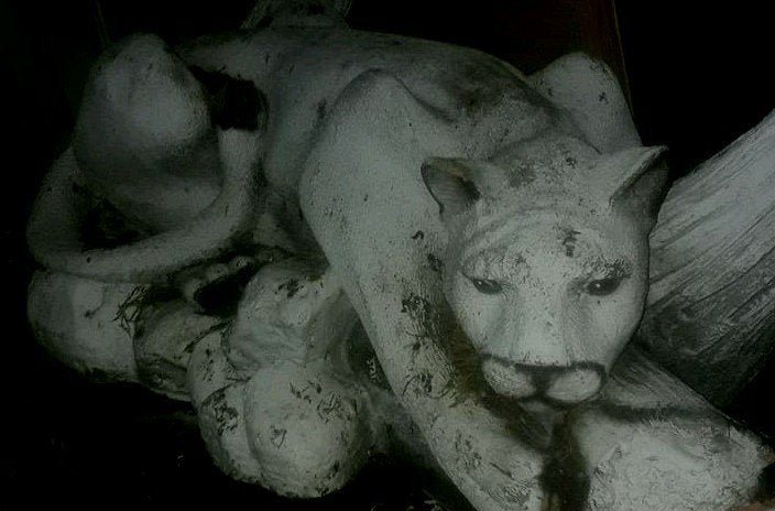 kunstbeeld panter/bergleeuw.wit.ongeveer1bij1/3 meter, Ophalen of Verzenden, Gebruikt, Kunststof, Dierenbeeld
