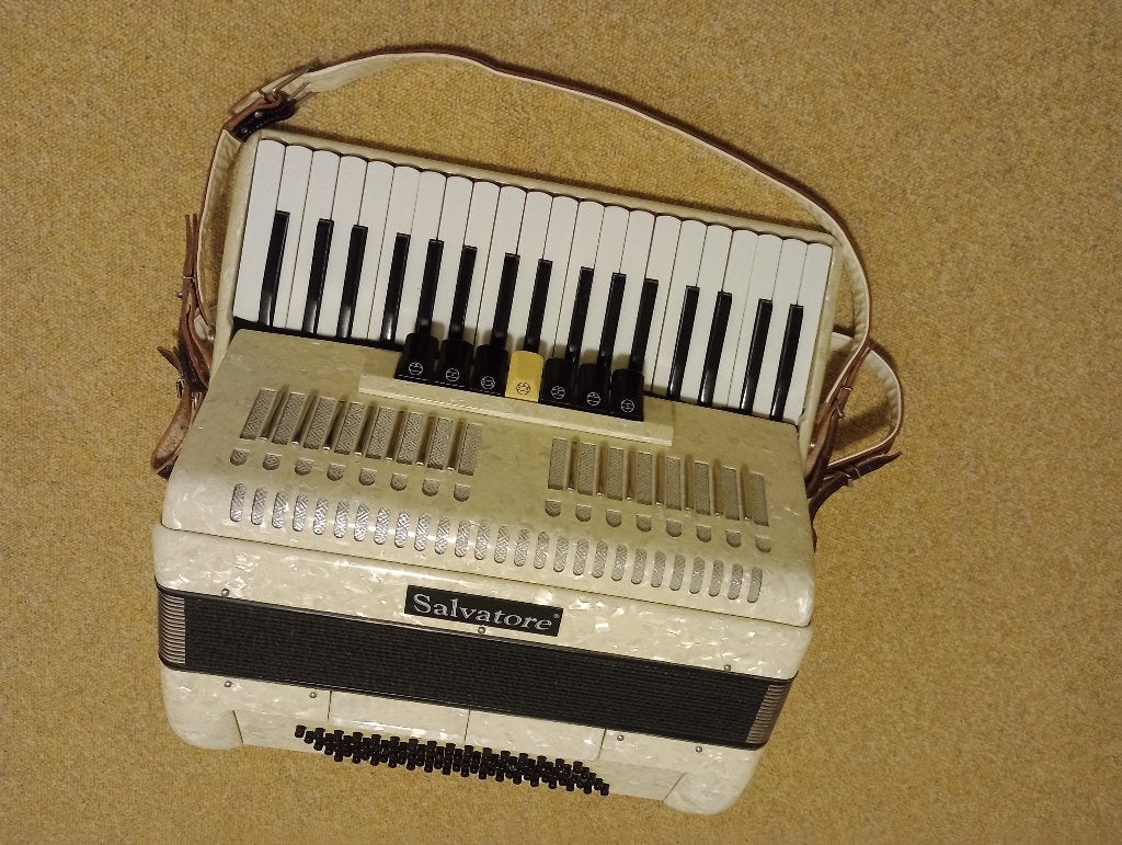 Salvatore accordeon, Muziek en Instrumenten, Accordeons, Gebruikt, 80-bas, Met koffer, Toetsaccordeon
