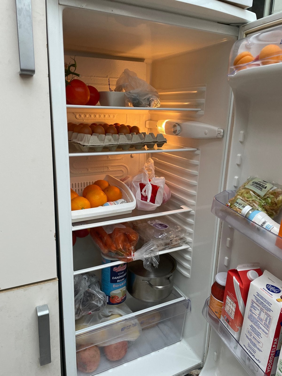 Zanussi koelkast zonder vriezer - Werkt perfect!, Dieren en Toebehoren, Ophalen, Gebruikt