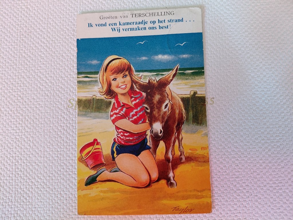 Meisje met ezel op strand Terschelling, stempel Midsland., Verzenden, 1960 tot 1980, Gelopen, Kinderen