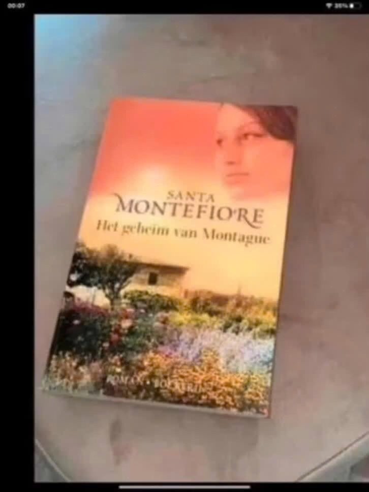 Het geheim van Montague - Santa Montefiore, Boeken, Gelezen, Europa overig, Ophalen of Verzenden, Santa Montefiore