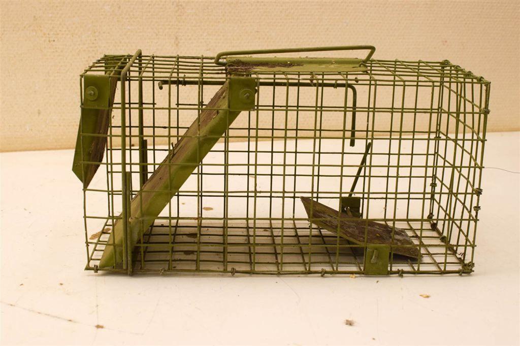 Rattenvangkooi 50202, Ophalen of Verzenden, Gebruikt, Hout, Vogelkooi