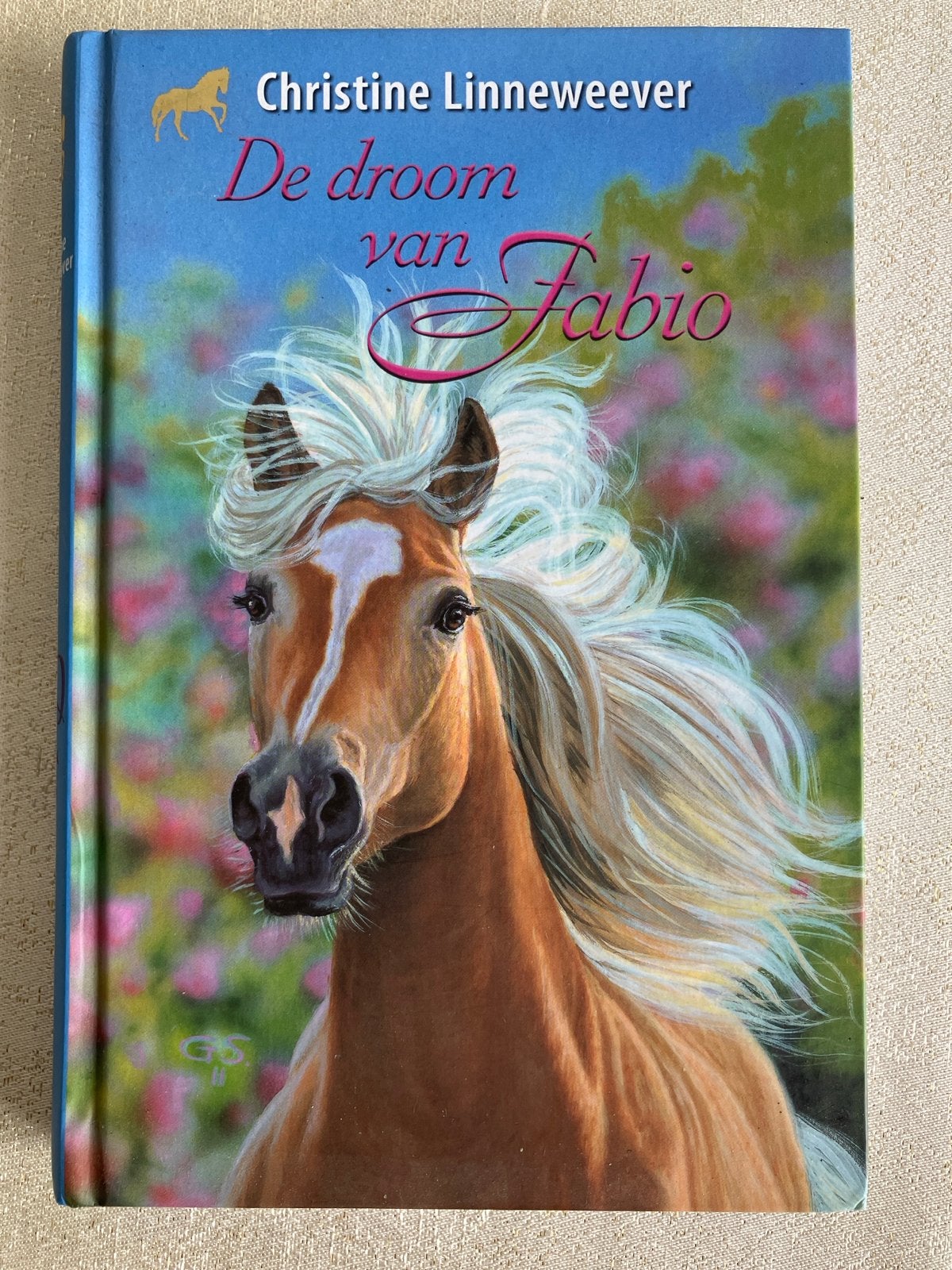 De droom van Fabio - Christine Linneweever, Ophalen, Zo goed als nieuw, Fictie algemeen