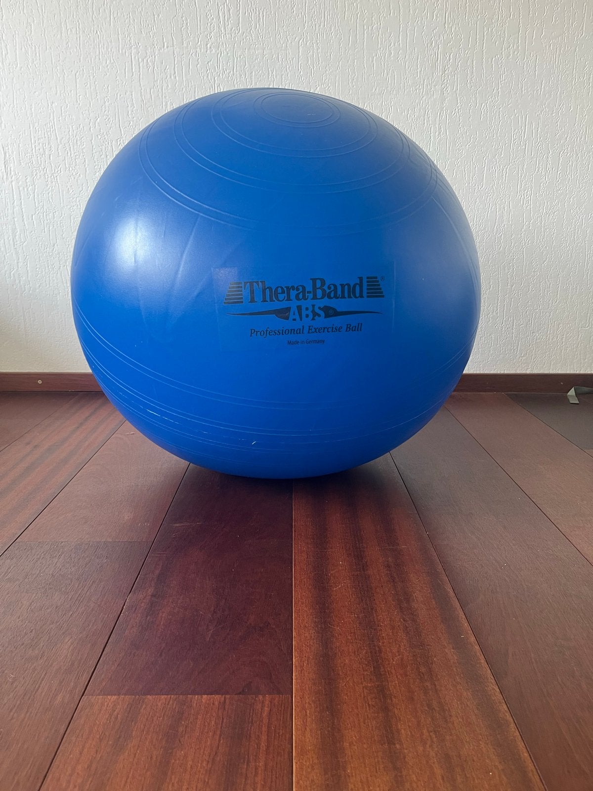 Thera-Band ABS Professional Exercise Ball XL (75 cm), Ophalen, Gebruikt, Armen, Fitnessbal