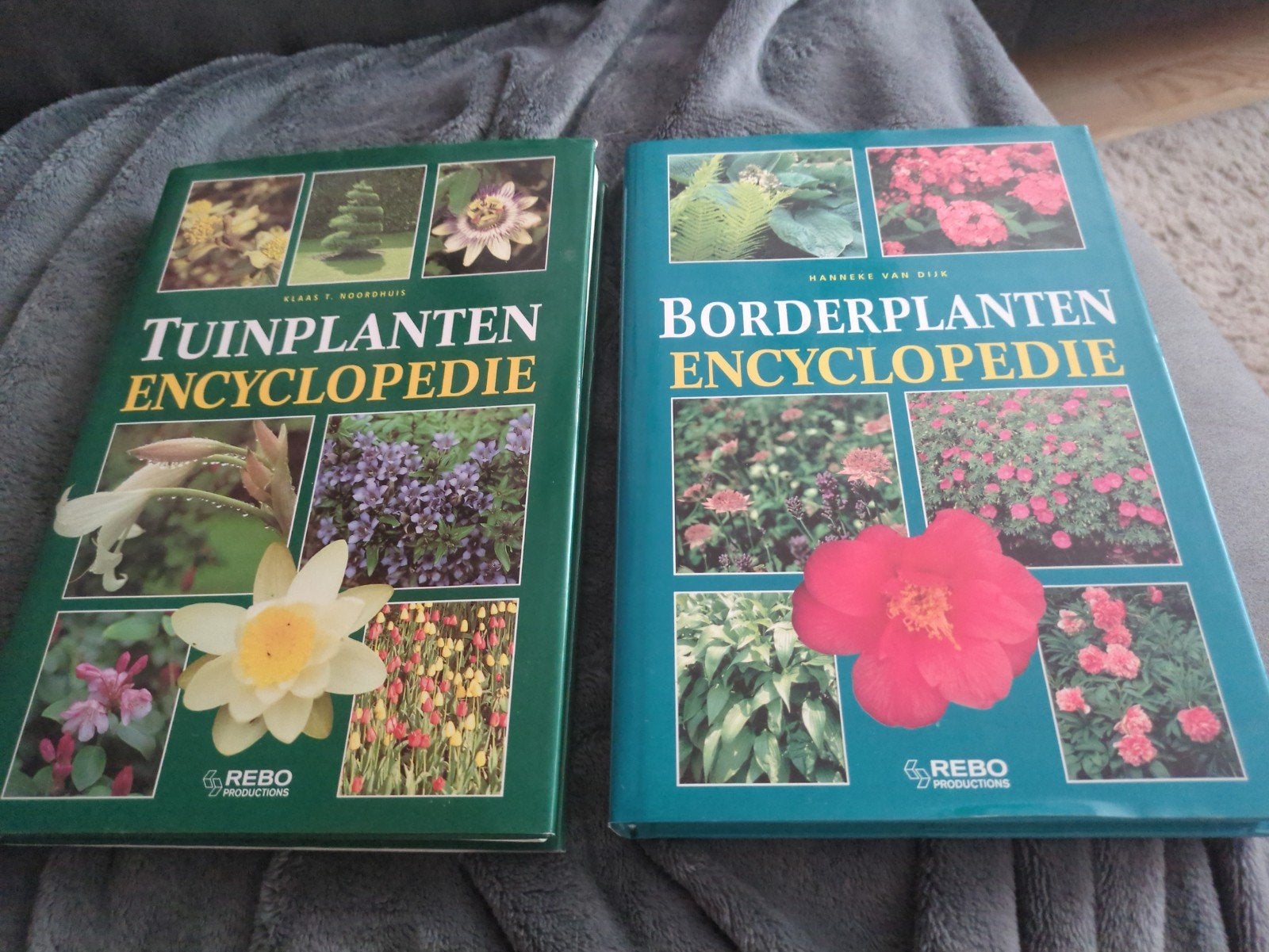 Tuinplanten Encyclopedie & Borderplanten Encyclopedie, Ophalen of Verzenden, Zo goed als nieuw, Geraad T. Koopman, Hanneke van Dien