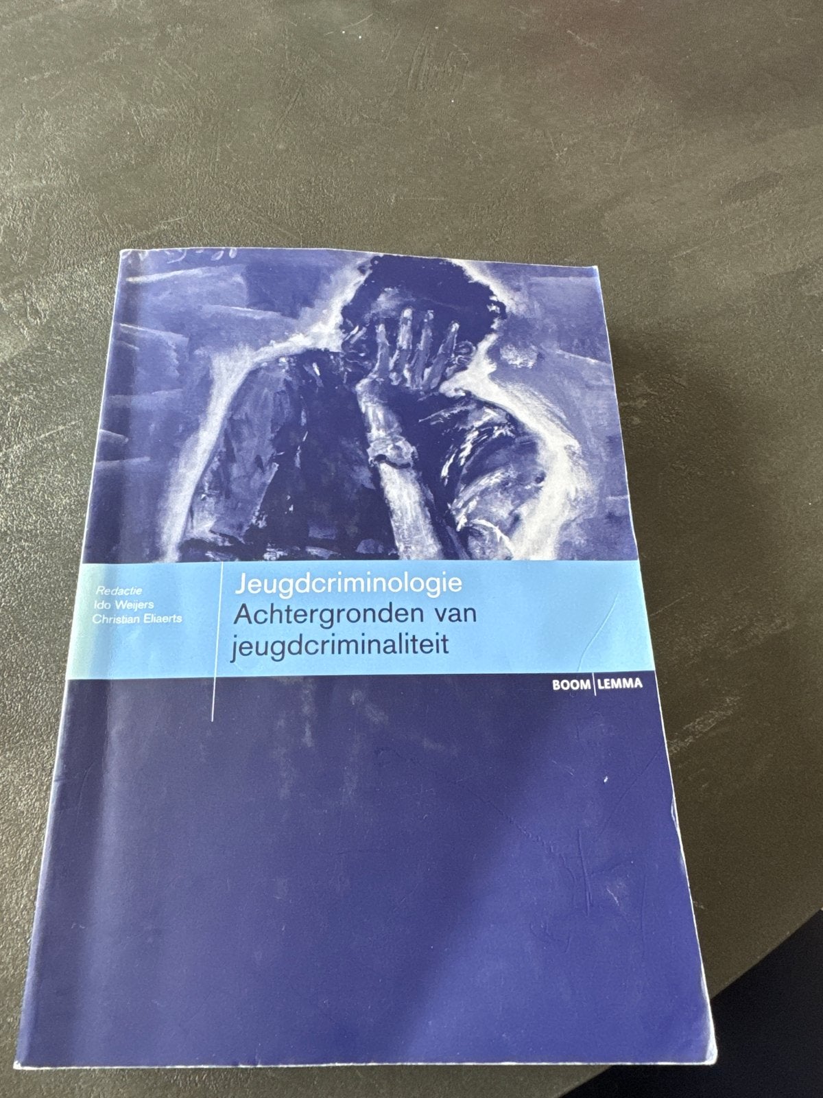 Jeugdcriminologie: Achtergronden van jeugdcriminaliteit, Boeken, Ophalen of Verzenden, Gamma, Gelezen, HBO