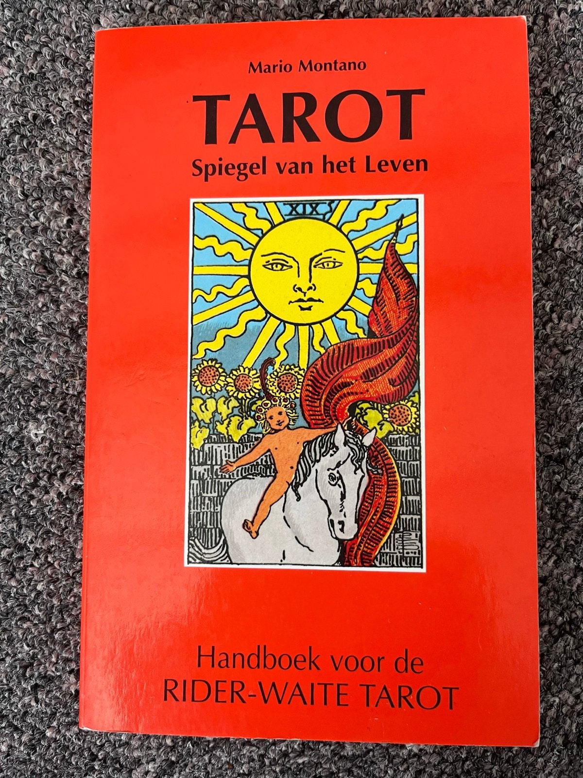 Tarot: Spiegel van het Leven - Handboek Rider-Waite Tarot, Ophalen of Verzenden, Zo goed als nieuw, Tarot of Kaarten leggen, Instructieboek
