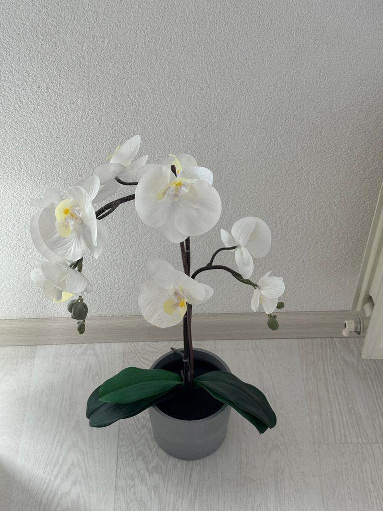 bloem, Verzamelen, Swarovski, Ophalen, Zo goed als nieuw, Figuurtje