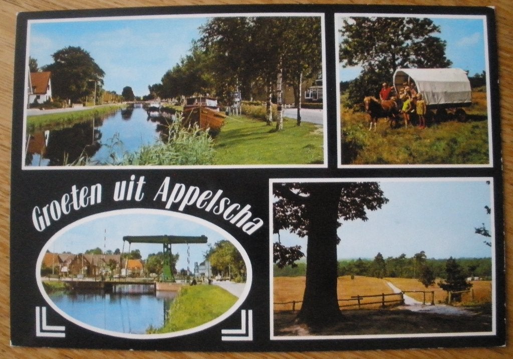Groeten uit Appelscha - Huifkar, Ophalen of Verzenden, 1960 tot 1980, Ongelopen, Friesland