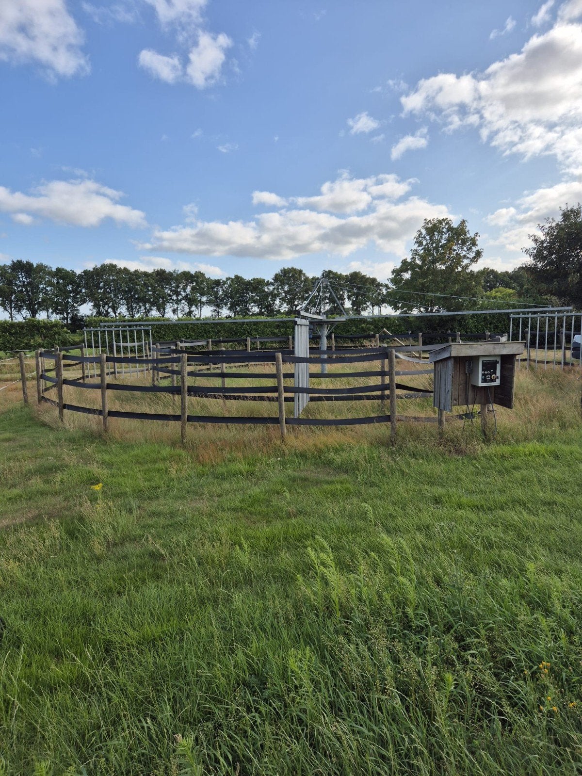 Paarden stapmolen, Ophalen of Verzenden