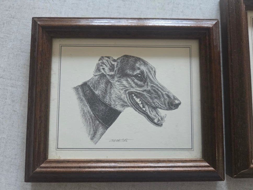 Set van 2 ingelijste hondenprenten - Tekening, Ophalen of Verzenden, Tekening, Potloodtekening, Ingelijst