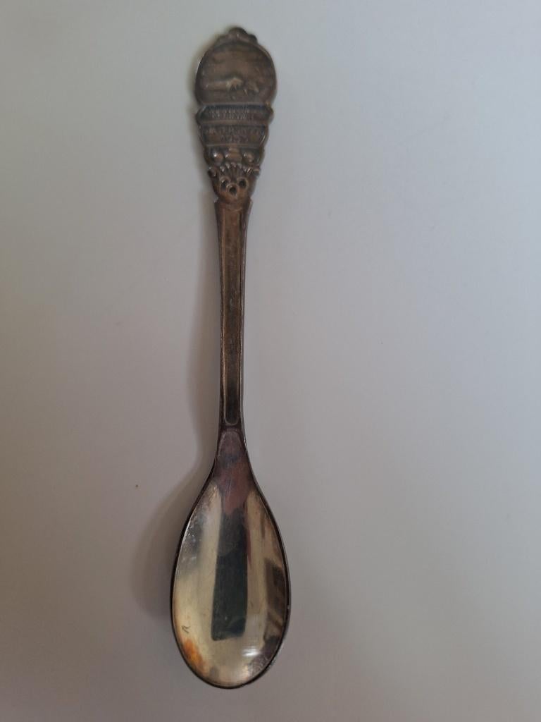Theelepeltje Watersnoodramp 1953, Ophalen