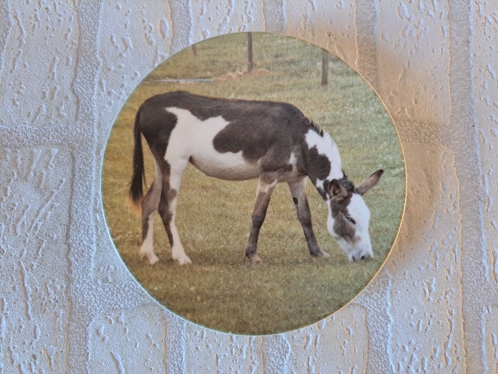 Ezel eet gras wandbord, porselein D16cm, Ophalen of Verzenden, Nieuw