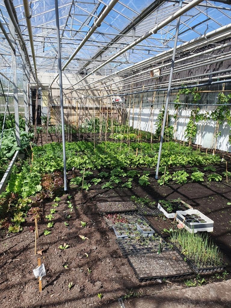 Kasruimte te huur bijv. als moestuin of hobbykweker, Ophalen