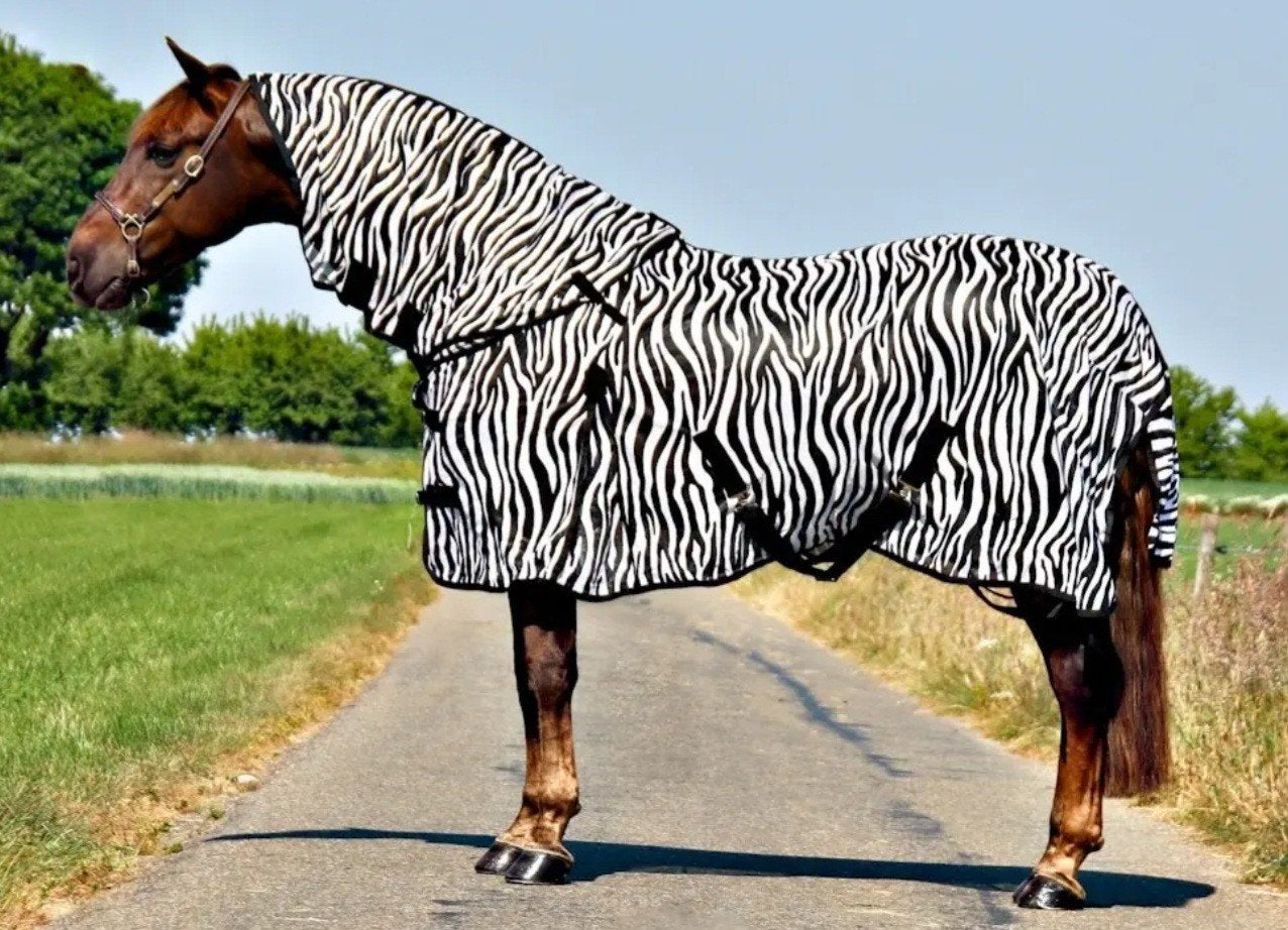 Vliegendeken zebra mt 135-185 Nieuw, Cob (M), Afneembare hals, Nieuw, Ophalen of Verzenden