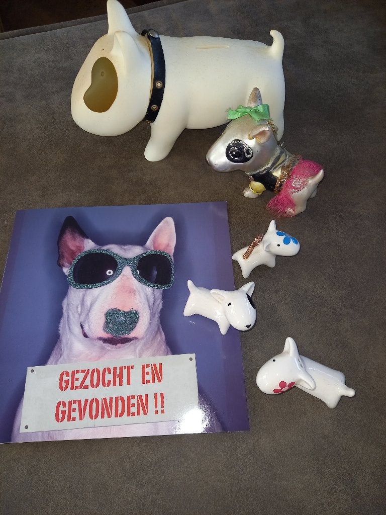 Bullterrier assortiment, Dieren en Toebehoren, Ophalen, Zo goed als nieuw