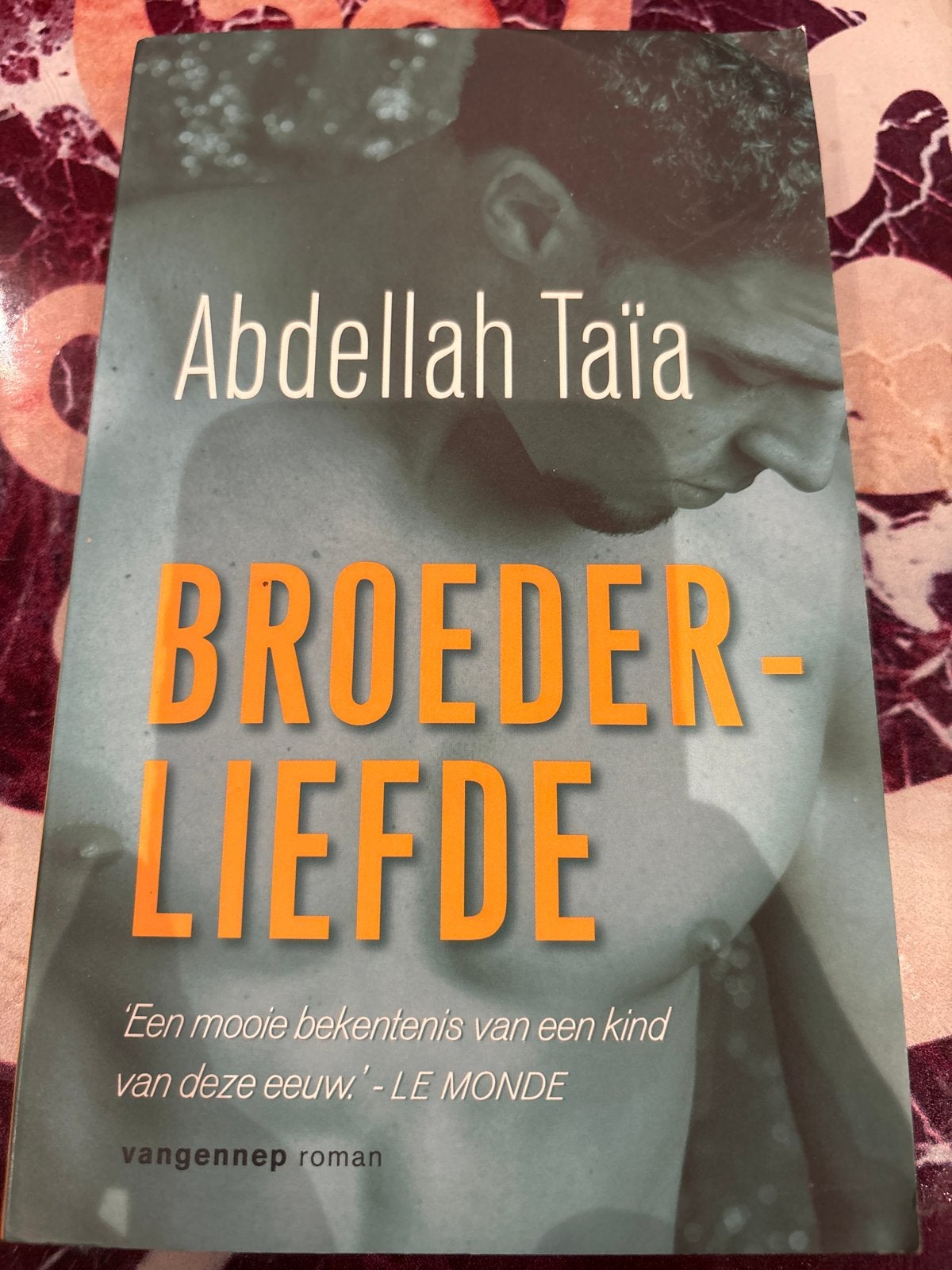 Broederliefde - Abdellah Taïa (roman), Ophalen of Verzenden, Gelezen, Europa overig