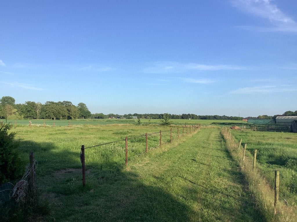 Weiland te huur, 4 paarden of pony's of meer