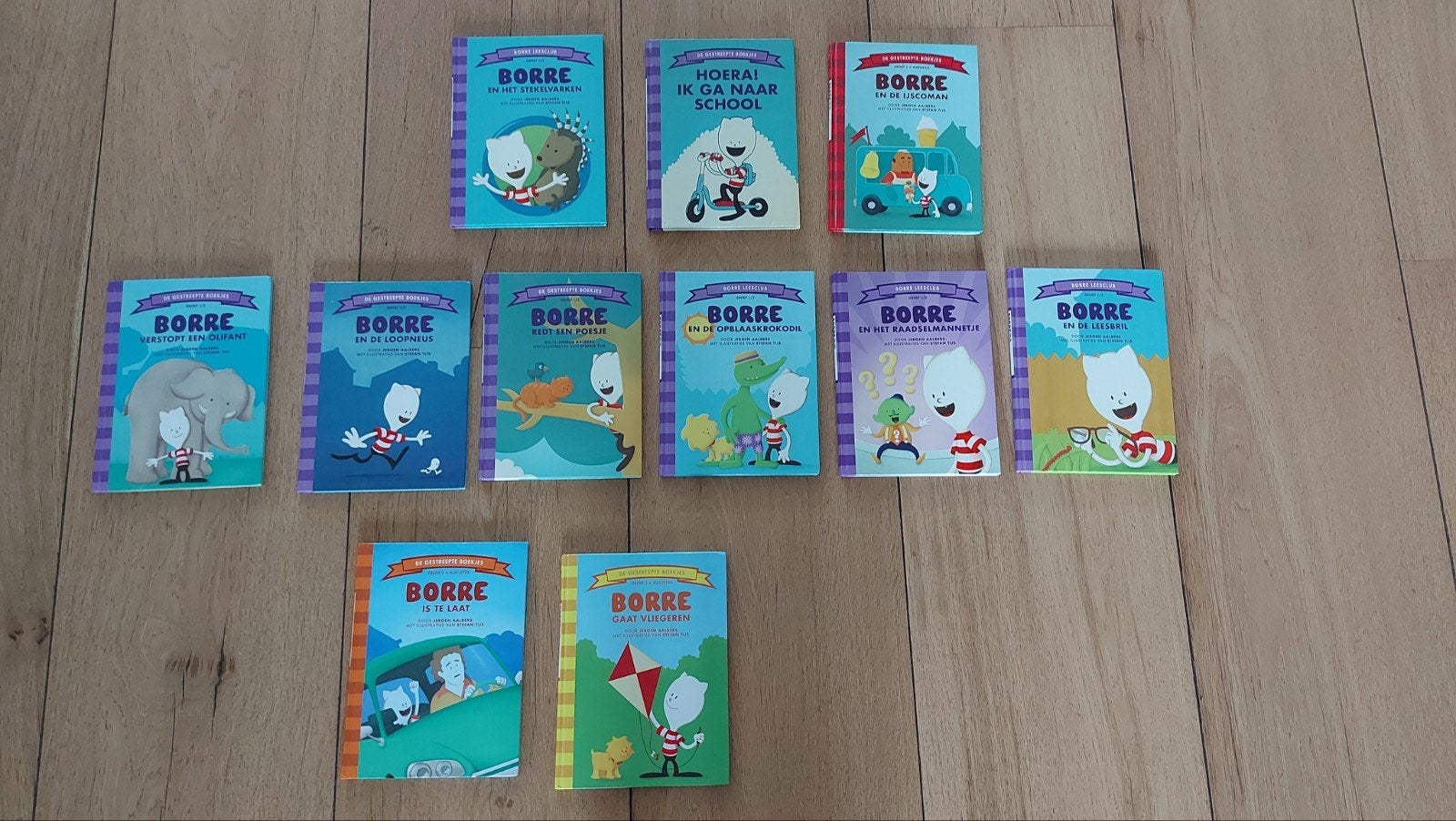 Borre leesboekjes diverse titels, Boeken, Ophalen of Verzenden, Zo goed als nieuw, Fictie algemeen