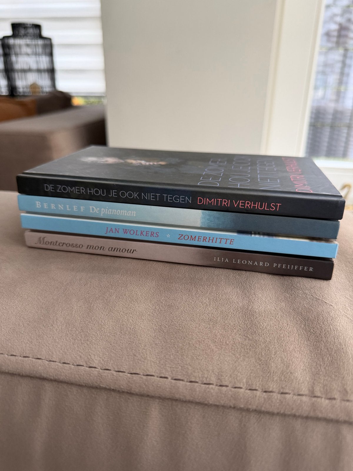 Boekenpakket: Dimitri Verhulst, Jan Wolkers, Bernlef, Ilja L, Ophalen of Verzenden, Zo goed als nieuw, Nederland
