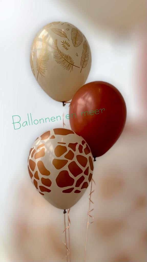 Hellium ballonnen, Ophalen, Nieuw, Verjaardag